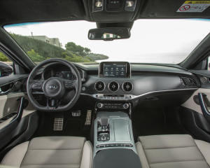 Kia Stinger blue details  (4)